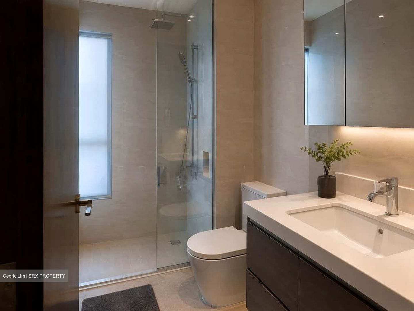 The Suites At Central (D9), Condominium #570000311